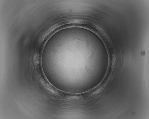 X0000112031017200908031431