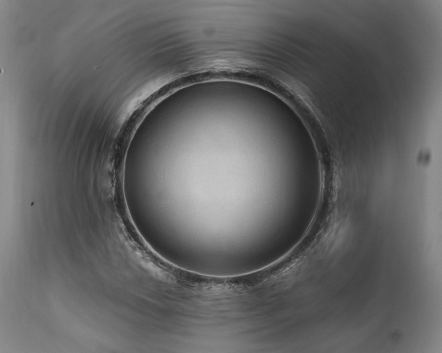 X0000112031018200908031431