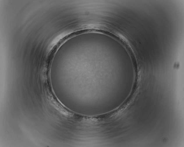 X0000112031019200908031431