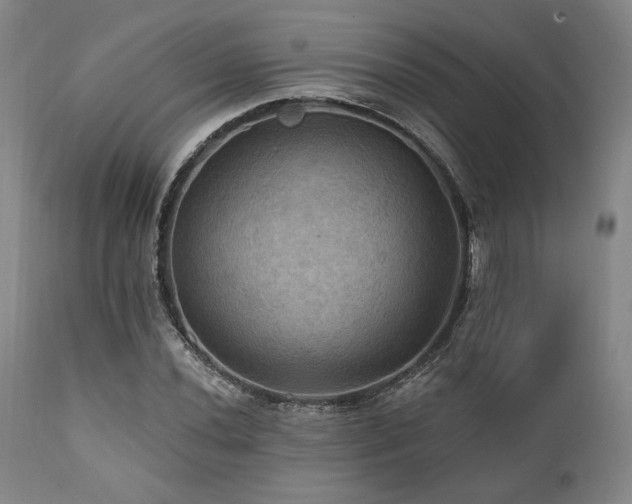 X0000112031020200908031431