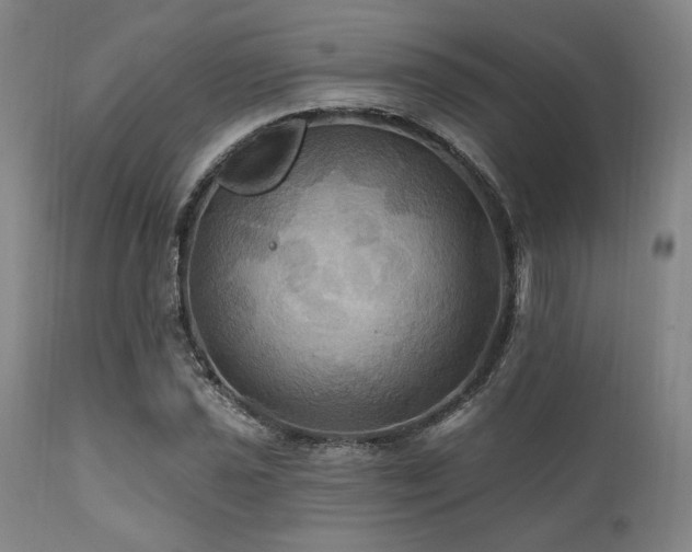 X0000112031021200908031431