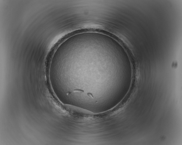 X0000112031022200908031431