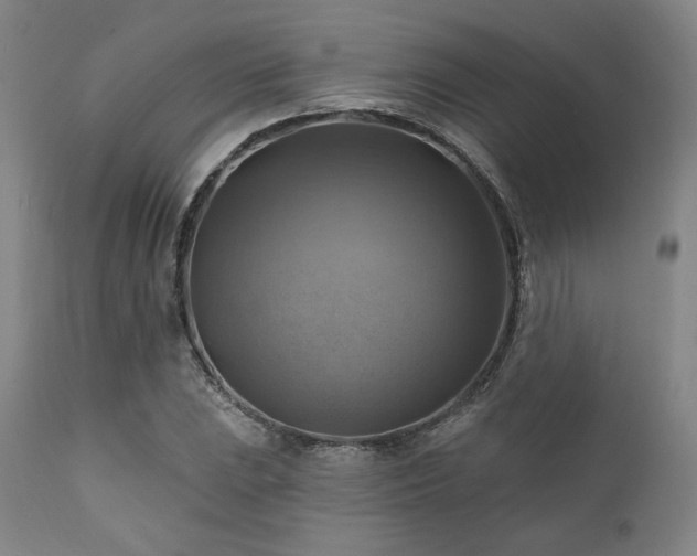 X0000112031023200908031431