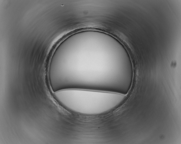 X0000112031024200908031431