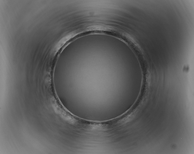X0000112031025200908031431