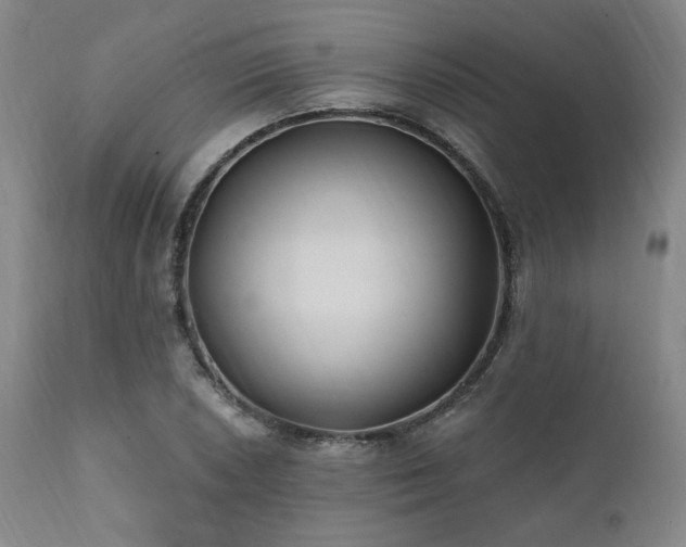 X0000112031026200908031431