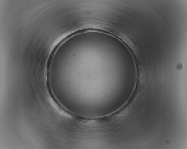 X0000112031028200908031431