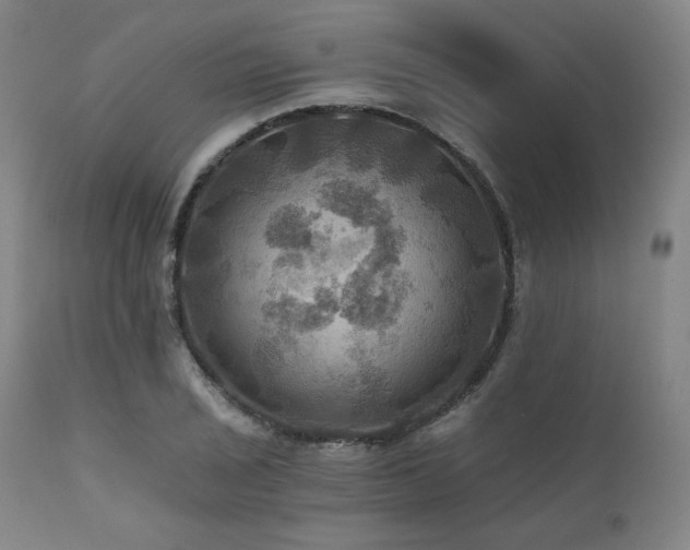 X0000112031029200908031431