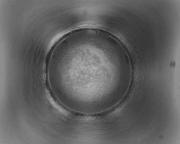X0000112031030200908031431