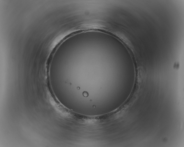 X0000112031031200908031431