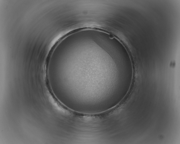 X0000112031032200908031431