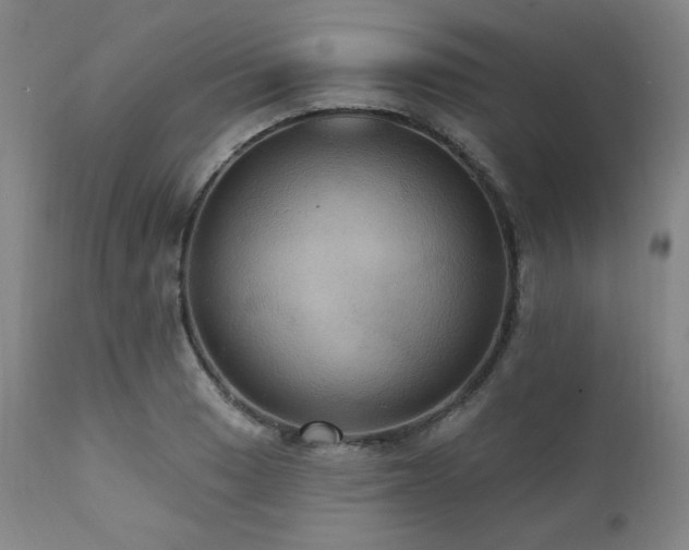 X0000112031033200908031431