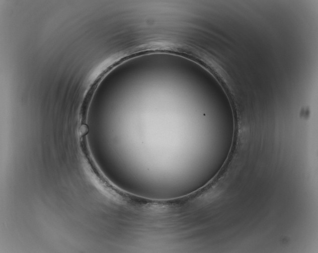 X0000112031034200908031431