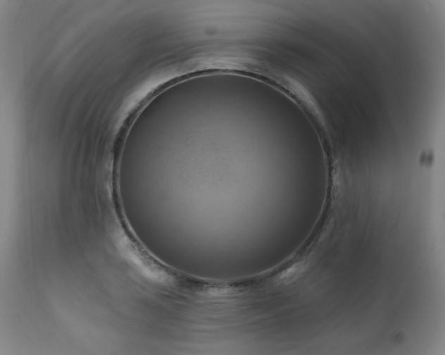 X0000112031035200908031431