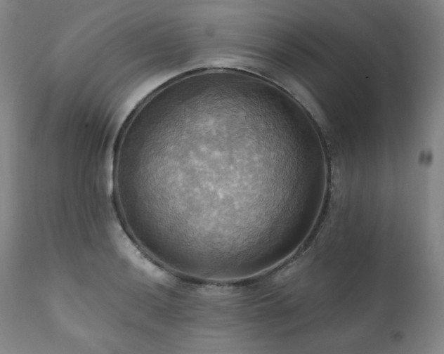 X0000112031036200908031431