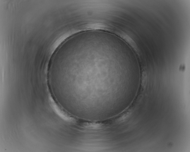 X0000112031039200908031431