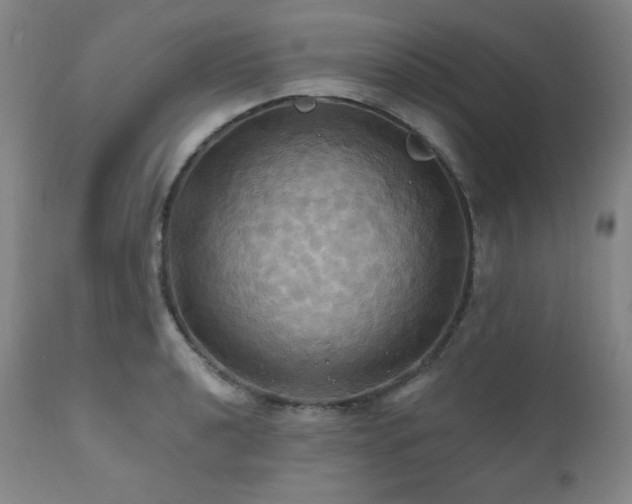 X0000112031040200908031431