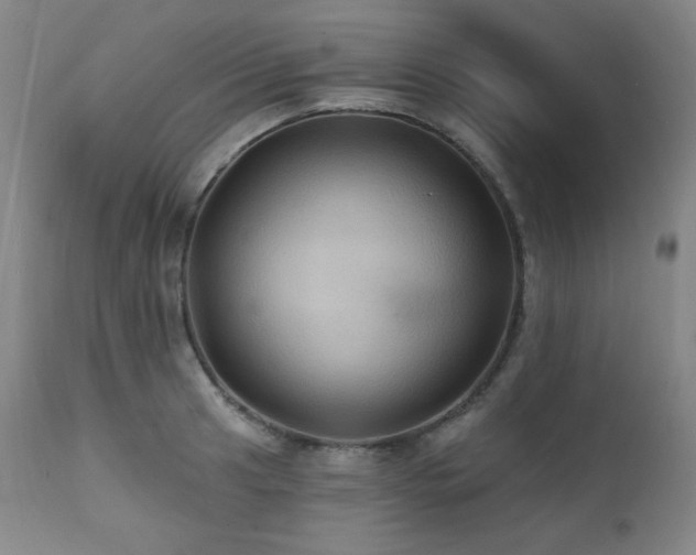 X0000112031041200908031431