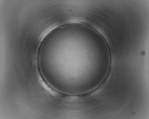 X0000112031042200908031431