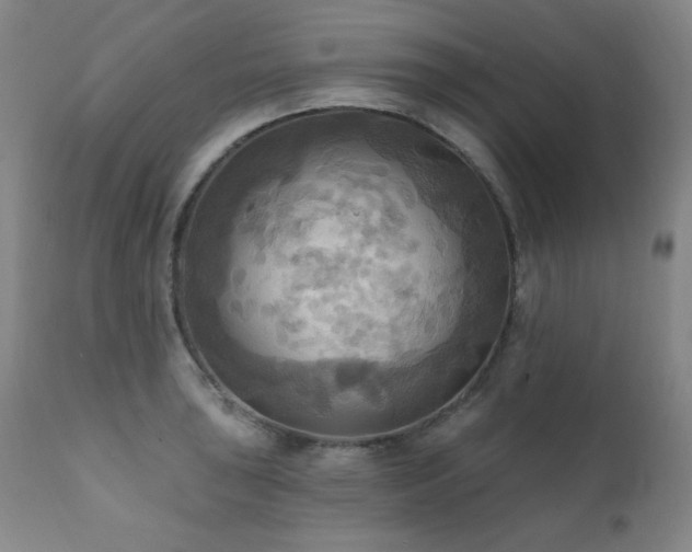X0000112031043200908031431