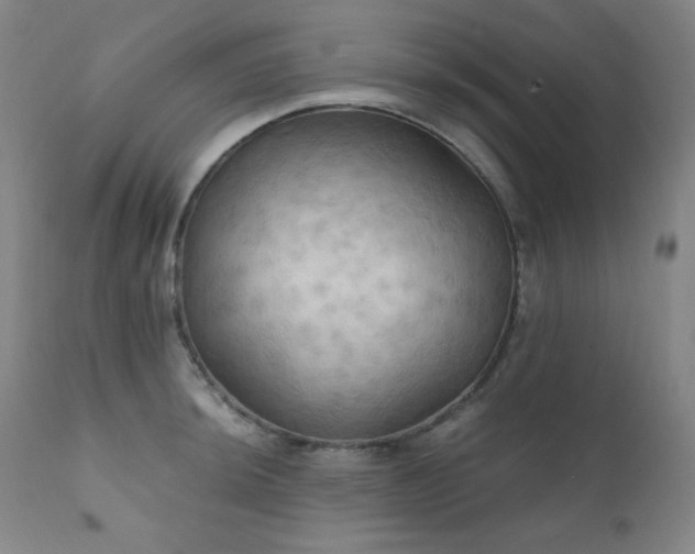 X0000112031044200908031431