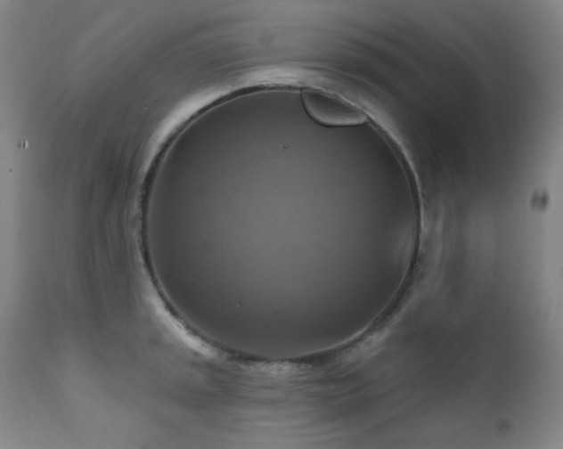 X0000112031045200908031431
