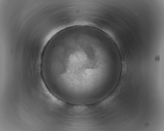 X0000112031046200908031431