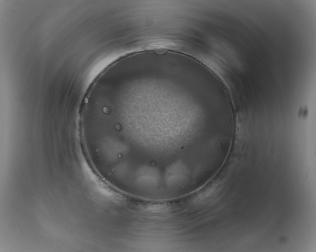 X0000112031047200908031431