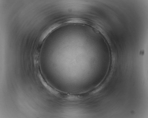X0000112031049200908031431