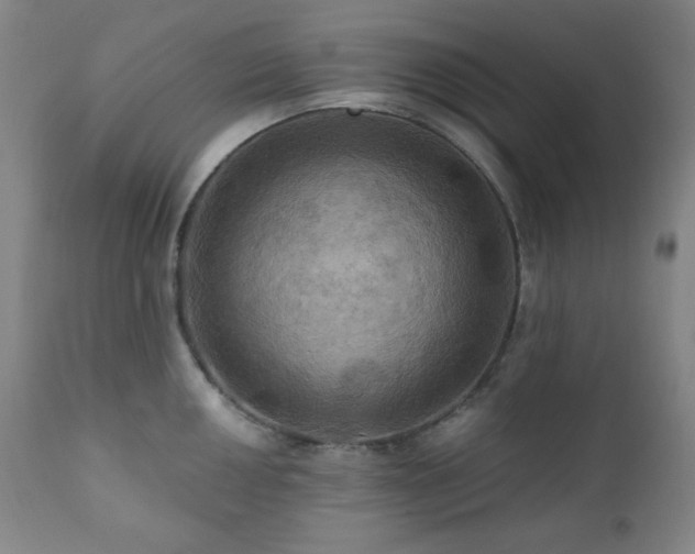 X0000112031050200908031431