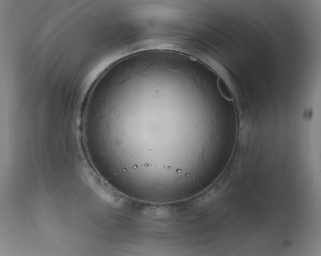 X0000112031051200908031432