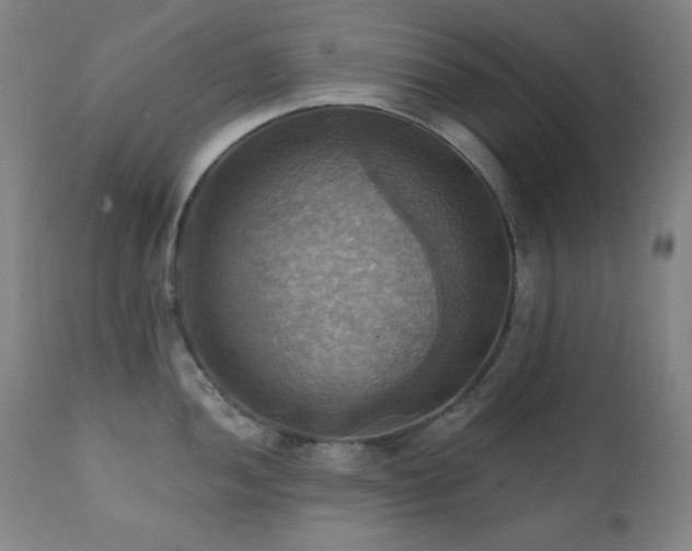 X0000112031052200908031432