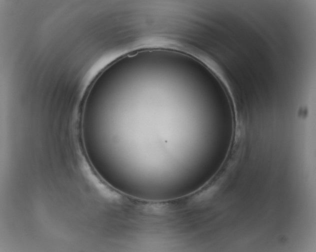 X0000112031053200908031432