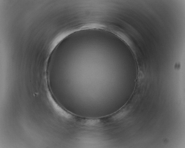 X0000112031055200908031432