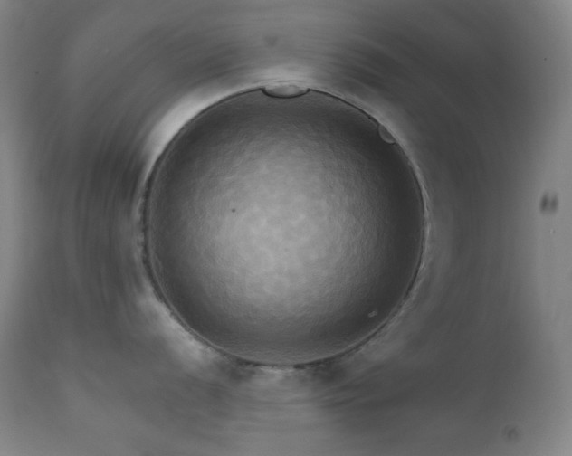 X0000112031056200908031432