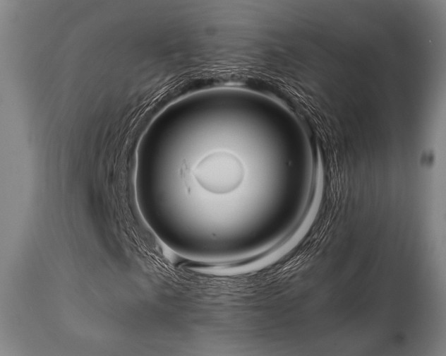 X0000112031057200908031430