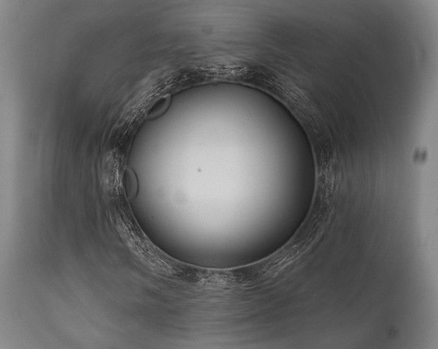 X0000112031058200908031430