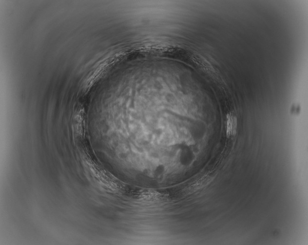 X0000112031059200908031430