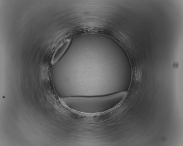 X0000112031060200908031430