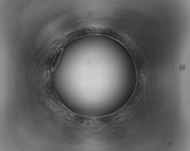 X0000112031061200908031430