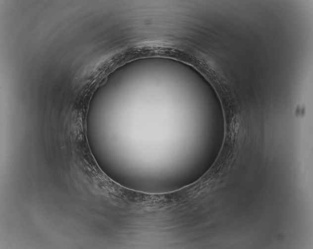 X0000112031062200908031430