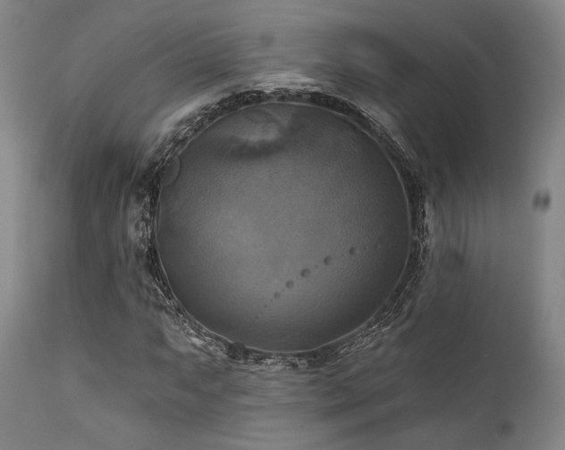X0000112031063200908031430
