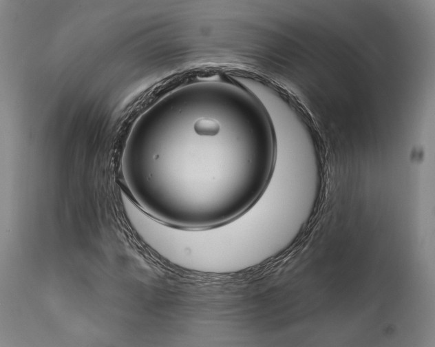 X0000112031064200908031430