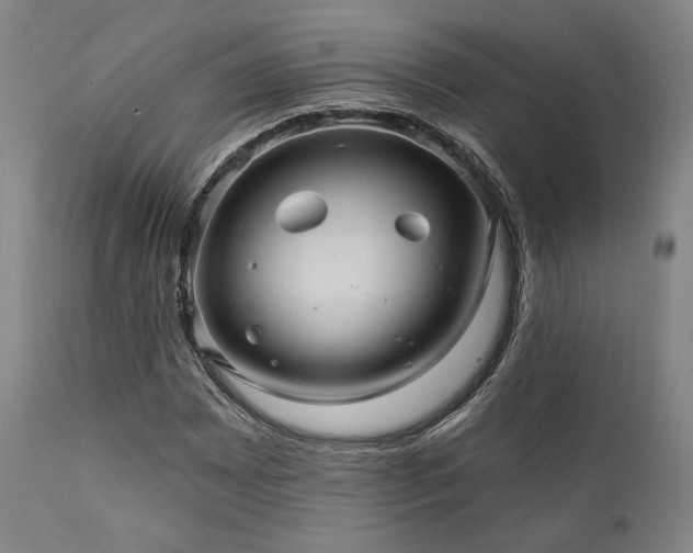 X0000112031065200908031430