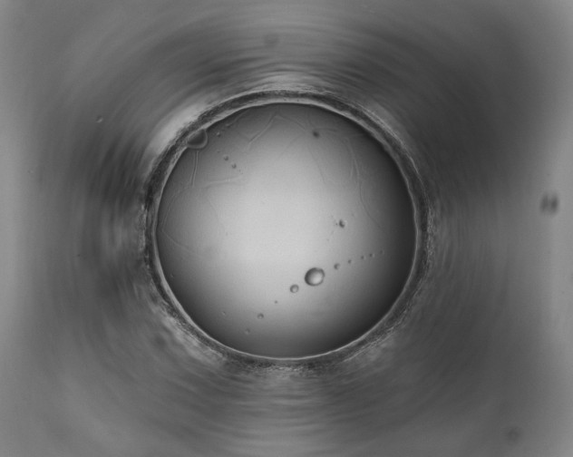X0000112031067200908031430
