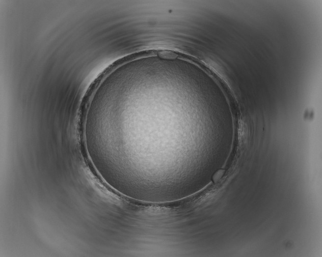 X0000112031068200908031430