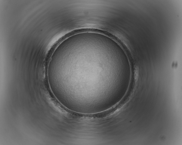 X0000112031069200908031430