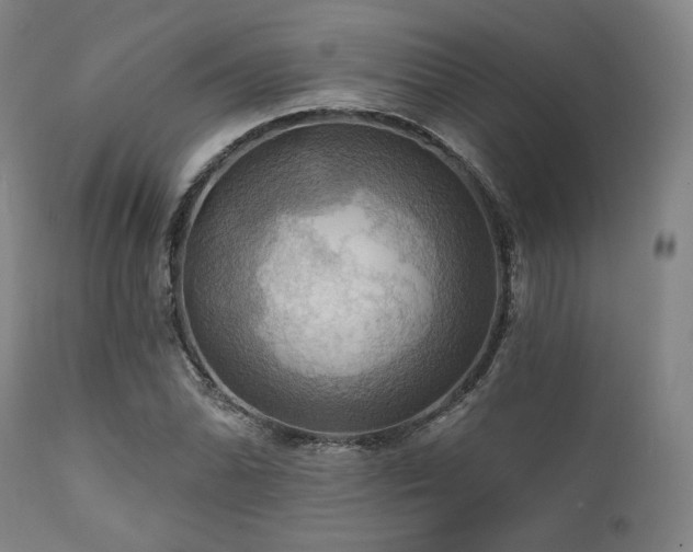 X0000112031070200908031430