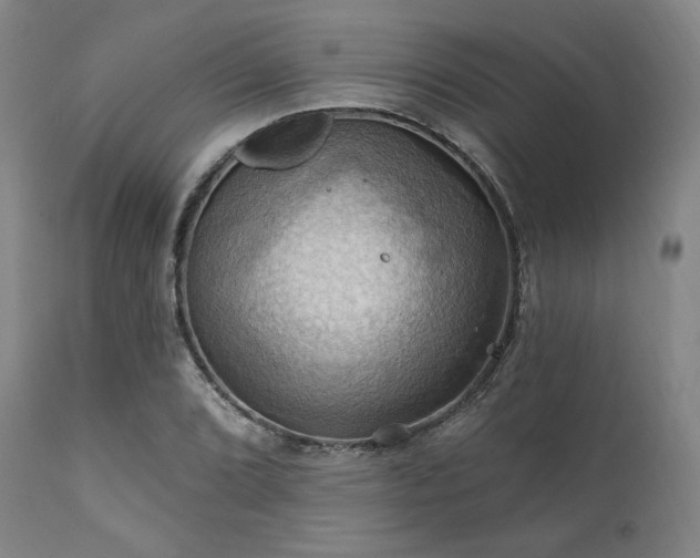 X0000112031072200908031430