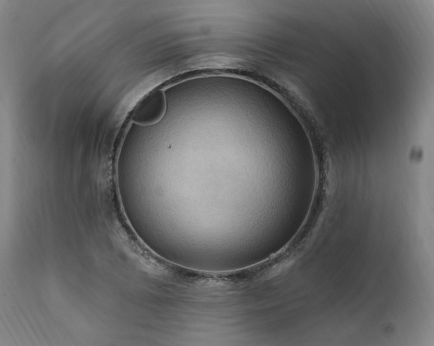 X0000112031073200908031430